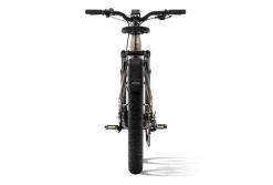 Aventure 3 Step Through Ebike