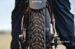 Aventure 3 Step Through Ebike