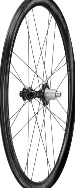 Campagnolo Bora Ultra WTO 33 Rear Wheel - 700c 12 x 142mm Center-Lock N3W 2-Way Fit Gray