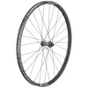 DT Swiss E 1900 Spline 30 Front Wheel - 29" 15 x 110mm Center-Lock Black