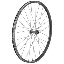 DT Swiss E 1900 Spline 30 Front Wheel - 29" 15 x 110mm Center-Lock Black