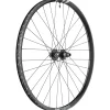 DT Swiss F 1900 Classic Rear Wheel - 29" 12 x 148mm 6-Bolt XD Ratchet LN 18 BLK