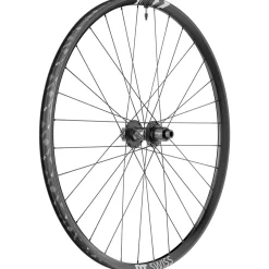 DT Swiss F 1900 Classic Rear Wheel - 29" 12 x 148mm 6-Bolt Micro Spline Ratchet LN 18 BLK
