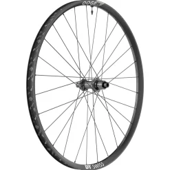 DT Swiss M 1900 Spline 30 Rear Wheel - 29" 12 x 148mm Center-Lock Micro Spline BLK
