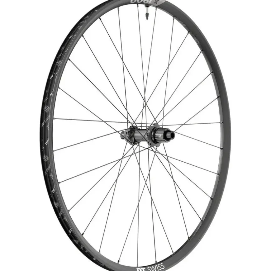 DT Swiss X 1900 Spline 25 Rear Wheel - 29", 12 x 148mm, Center-Lock, Micro Spline