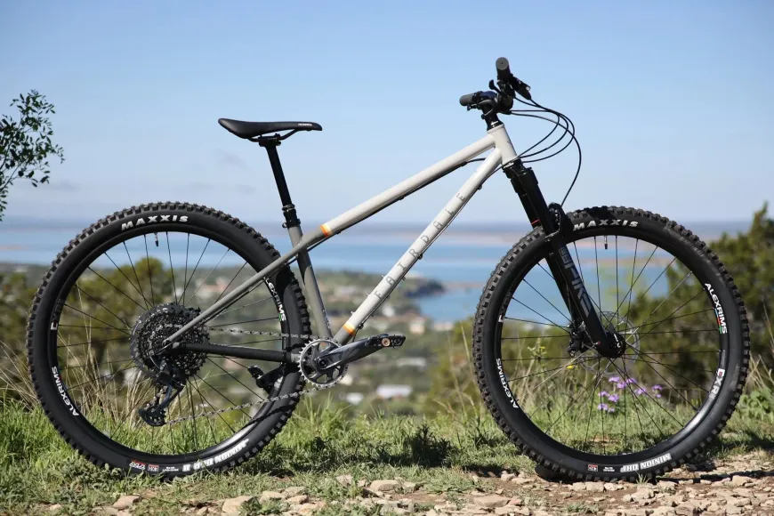 Elevator 29" Hardtail