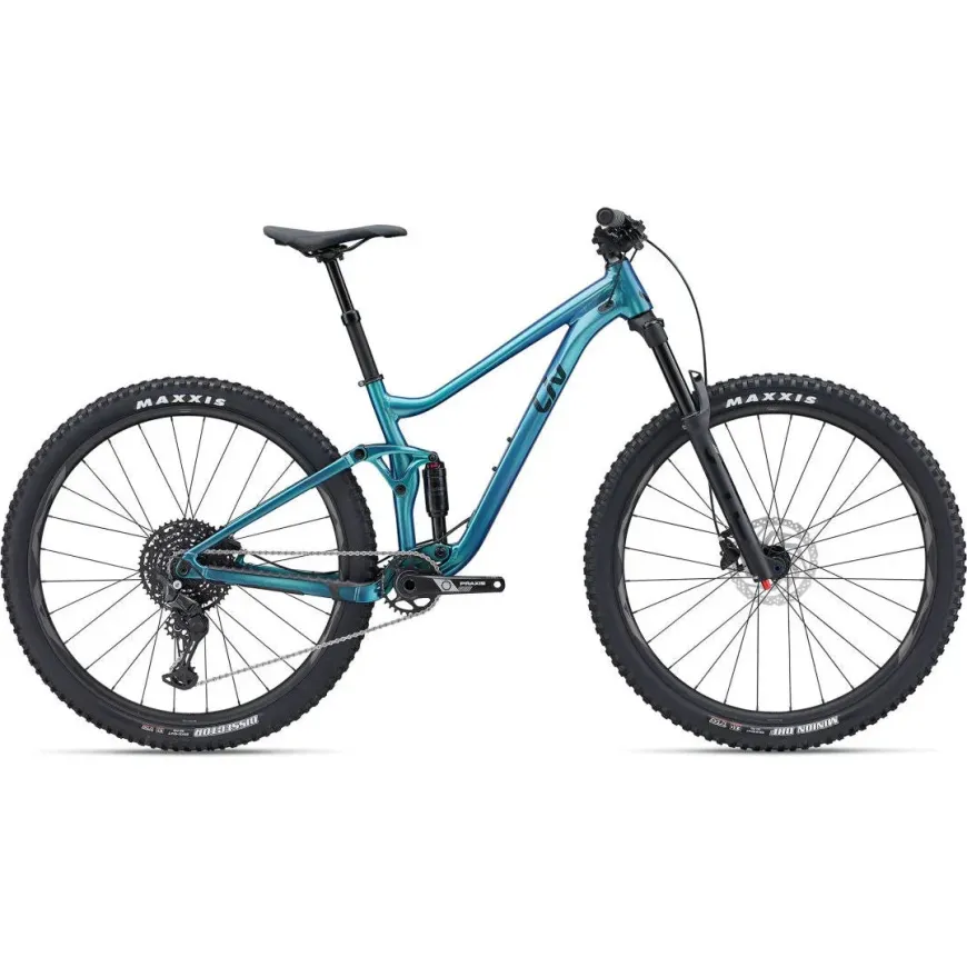 Embolden 29" 2 Mountain Bike (2024)