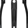 FSA CK-762 Yamaha/Giant Ebike Crank Arm Set - 160mm ISIS Black