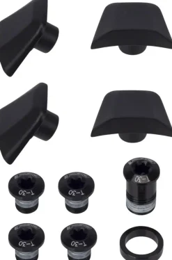 FSA SL-K ABS Chainring Bolt Kit - Black 10-Piece Kit