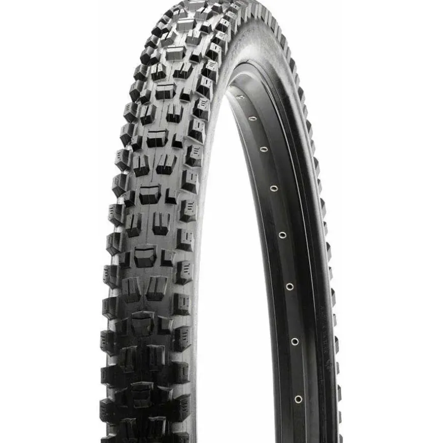 Maxxis Assegai Bike Tire - 29 x 2.5