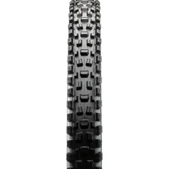 Maxxis Assegai Downhill/Mountain Bike Tire - 27.5 x 2.5, Tubeless, 3C MaxxTerra, EXO, Wide Trail