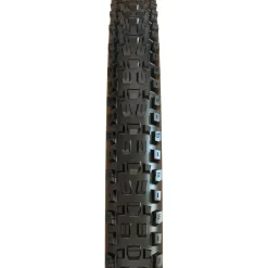 Maxxis Assegai Tire, Tubeless, Tan, EXO, Wide Trail - 29 x 2.5"