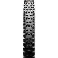 Maxxis Assegai, Tubeless Ready Mountain Bike Tire 29 x 2.5"