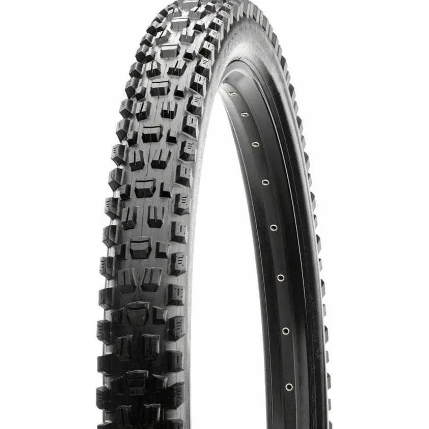 Maxxis Assegai, Tubeless Ready Mountain Bike Tire 29 x 2.5"