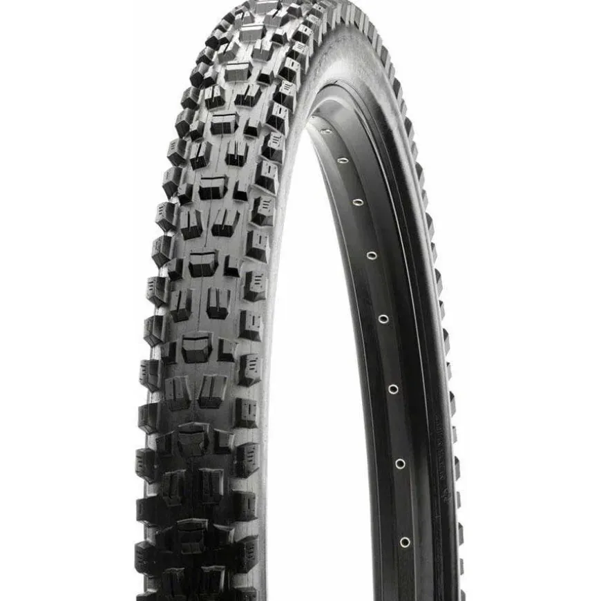Maxxis Assegai, Tubeless Ready Mountain Bike Tire 29 x 2.5"