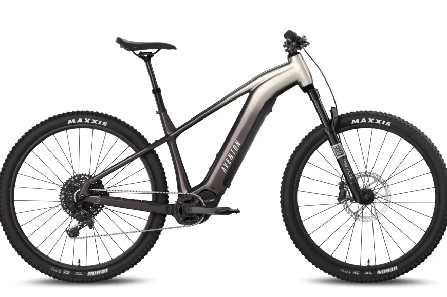 Ramblas ADV Ebike