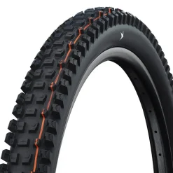 Schwalbe Albert Tire - 29 x 2.50 Evolution Line Trail Pro Addix Soft Radial E-50