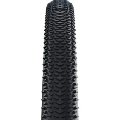 Schwalbe G-One R Tire - 700 x 35 Tubeless Folding BLK/Transparent Evolution Line Pro Addix Race