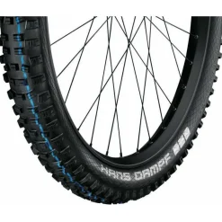 Schwalbe Hans Dampf Bike Tire - 29 x 2.6