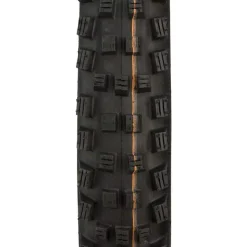 Schwalbe Magic Mary Tire - 29 x 2.6 Evolution Line Super Gravity Addix Soft