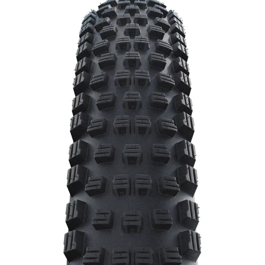 Schwalbe Wicked Will Tire - 29 x 2.6 Clincher Folding BLK Performance Line Addix