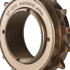 Shimano SF-1200 Freewheel - 16t Bronze