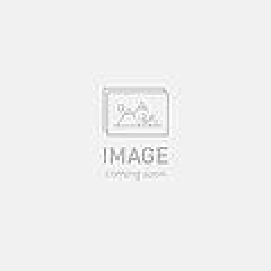 Specialized traverse alloy 350 wheel black/charcoal 29 rear