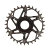 SRAM XX T-Type E-MTB Chainring Bosch Gen 4 32t Blk/Slv