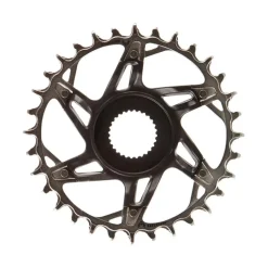 SRAM XX T-Type E-MTB Chainring Bosch Gen 4 32t Blk/Slv