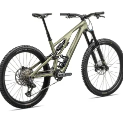 Stumpjumper EVO Expert T-Type (2024)