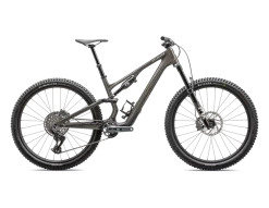 Stumpjumper 15 Expert (2025)
