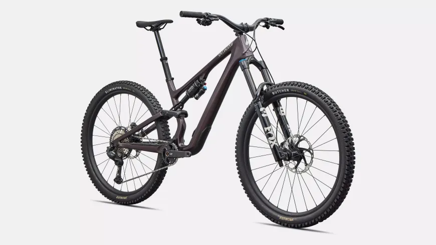 Stumpjumper 15 Expert Di2 (2026)