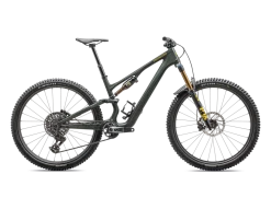 Stumpjumper 15 Pro (2025)