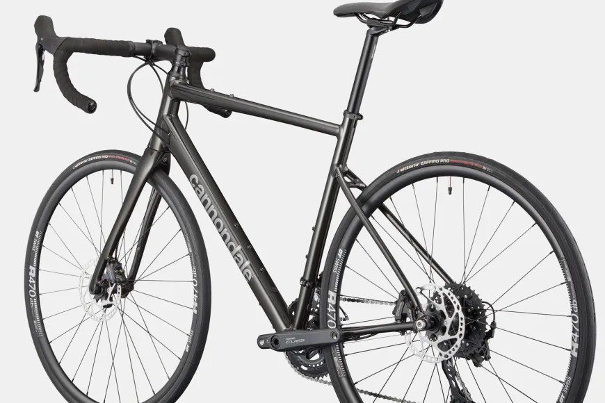 Synapse 2