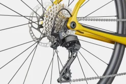 Synapse Carbon 5
