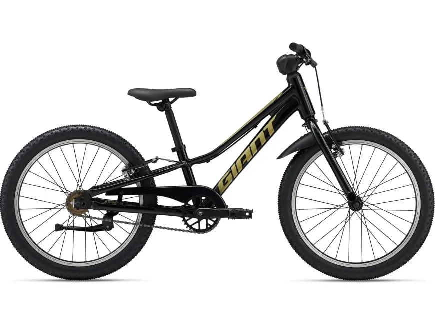 Talon 20 SS (2025)