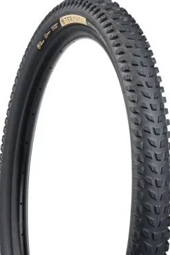 Teravail Clifty Tire - 29 x 2.5 Durable Grip Compound