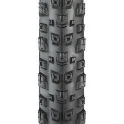 Teravail Warwick Tire - 29 x 2.3 Durable Grip Compund