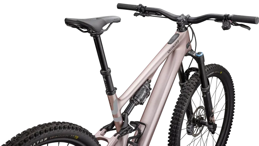 Turbo Levo SL 2 Expert (2025)