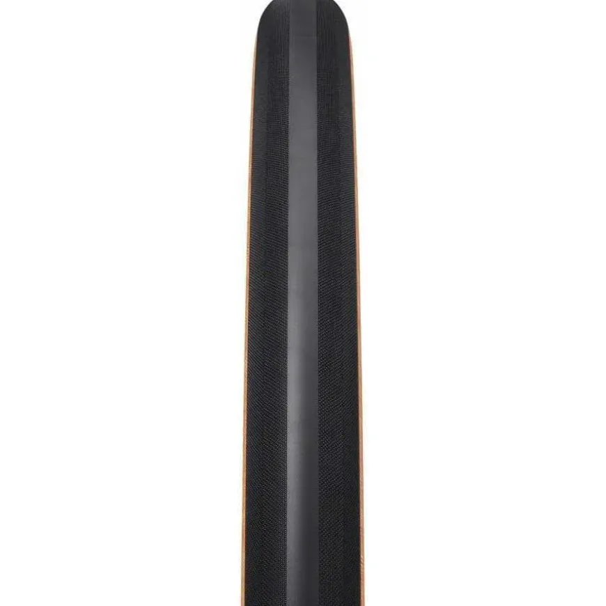 WTB Exposure Tire - 700 x 36, TCS Tubeless, Folding/Tan