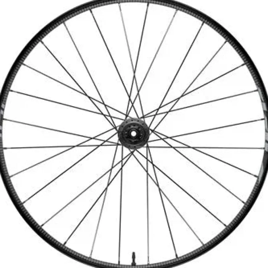 Zipp 101 XPLR Rear Wheel - 700 12 x 142mm Center-Lock XDR NCF Carbon A1